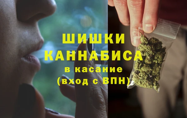 молекула духа Алзамай