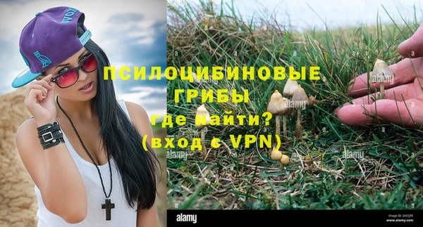 ALPHA PVP Абдулино