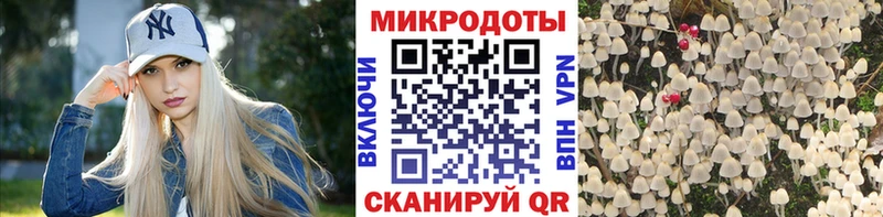 Галлюциногенные грибы MAGIC MUSHROOMS  гидра как войти  Чухлома  купить  сайты 